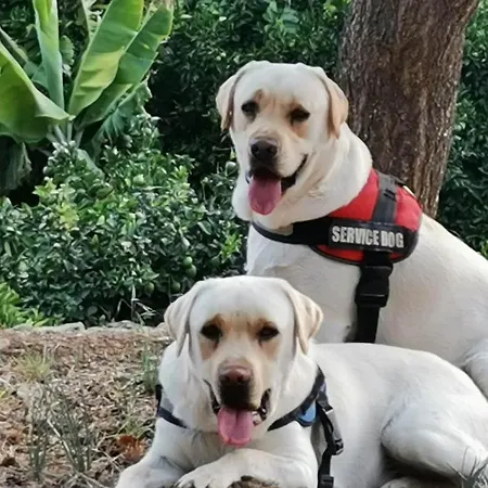 Alpstuga Angels Pathway *