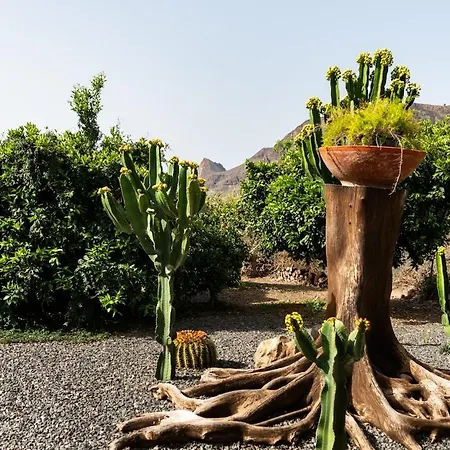 Angels Pathway Fátaga